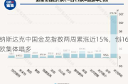 中国资产爆发！纳斯达克中国金龙指数两周累涨近15%，创16个月最大
，外资行、达利欧集体唱多
