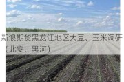 新浪期货黑龙江地区大豆、玉米调研（北安、黑河）