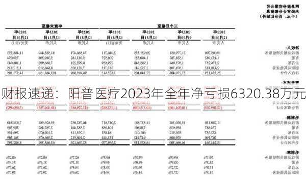 财报速递：阳普医疗2023年全年净亏损6320.38万元