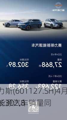 赛力斯(601127.SH)4月新能源汽车销量同
增长302.89%