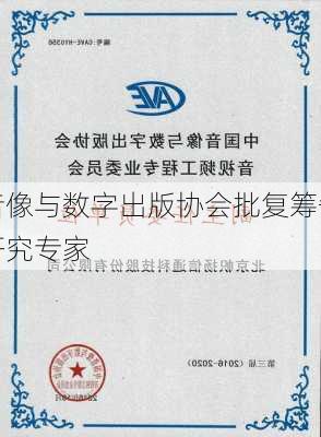中国音像与数字出版协会批复筹备成立
产业研究专家
等